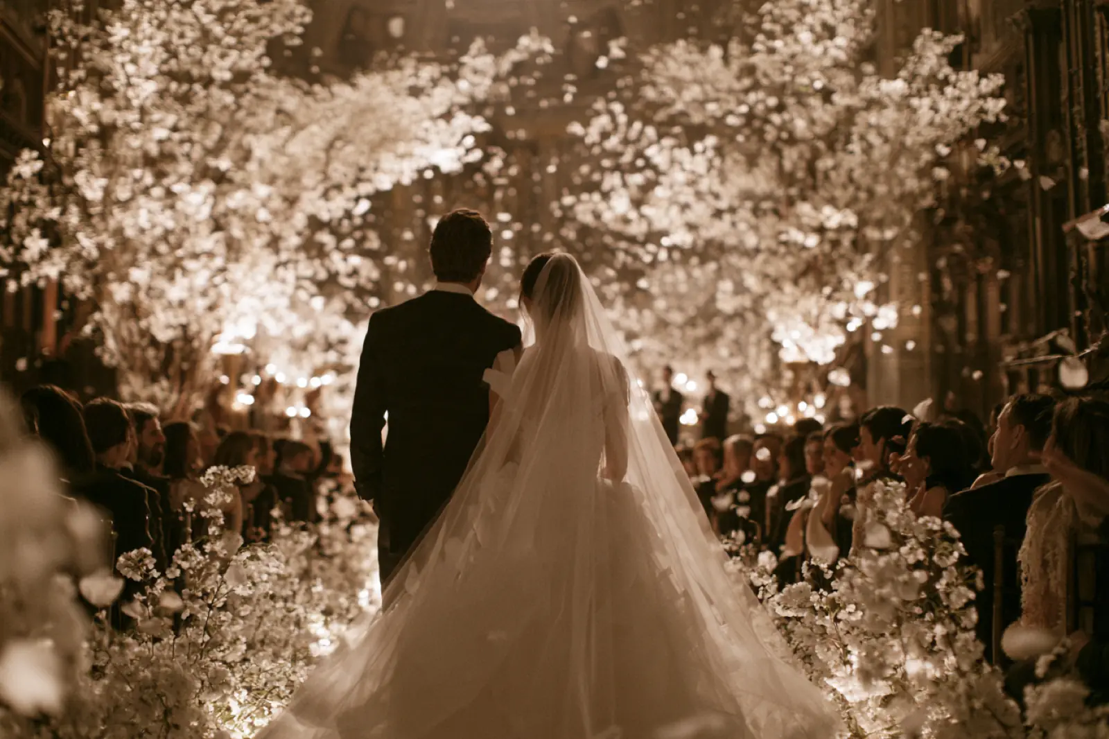 A couple from behind under a canopy of white blossom, the guests beyond them