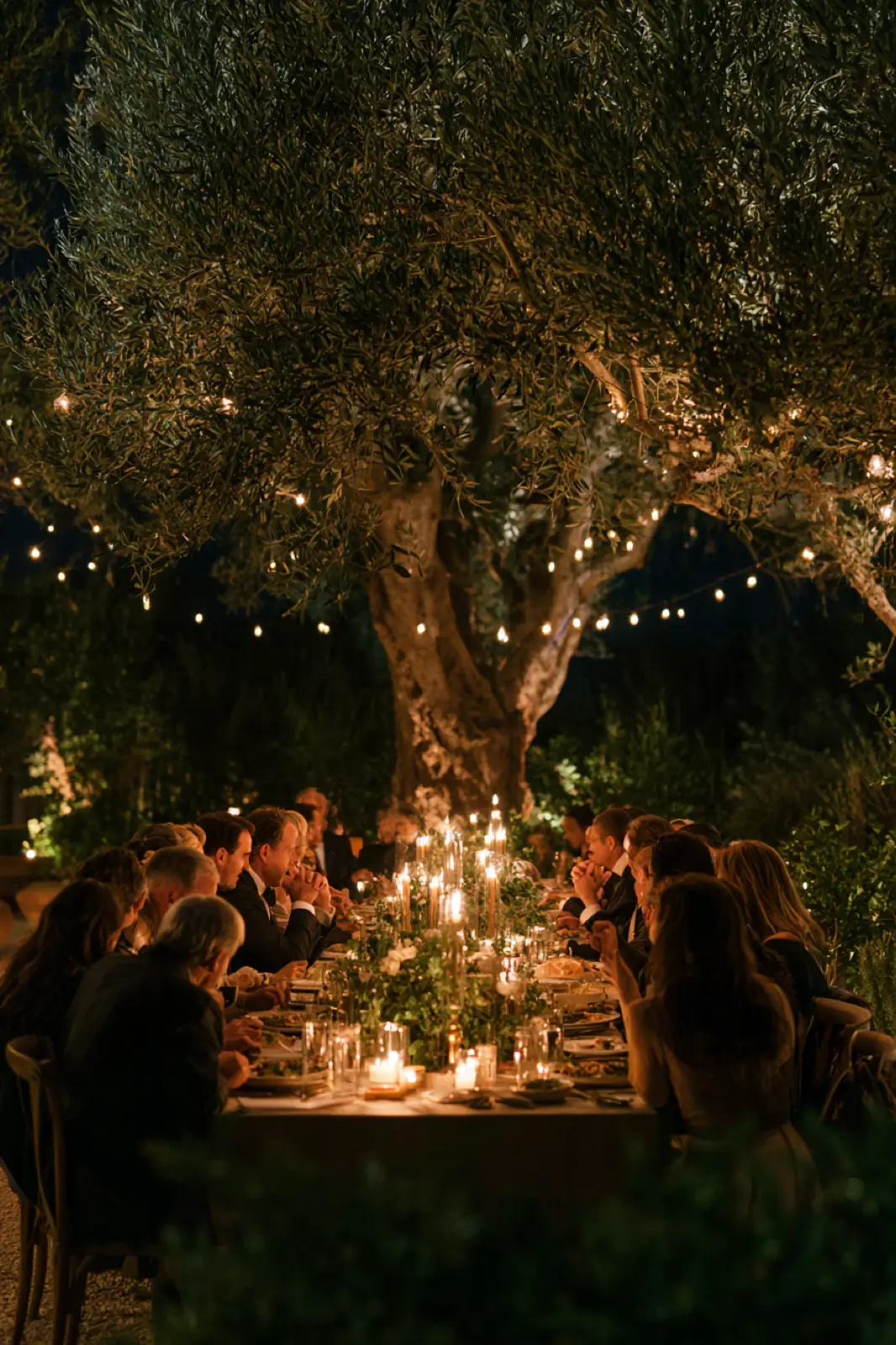 A tree hung with lights above a dinner in a courtyard