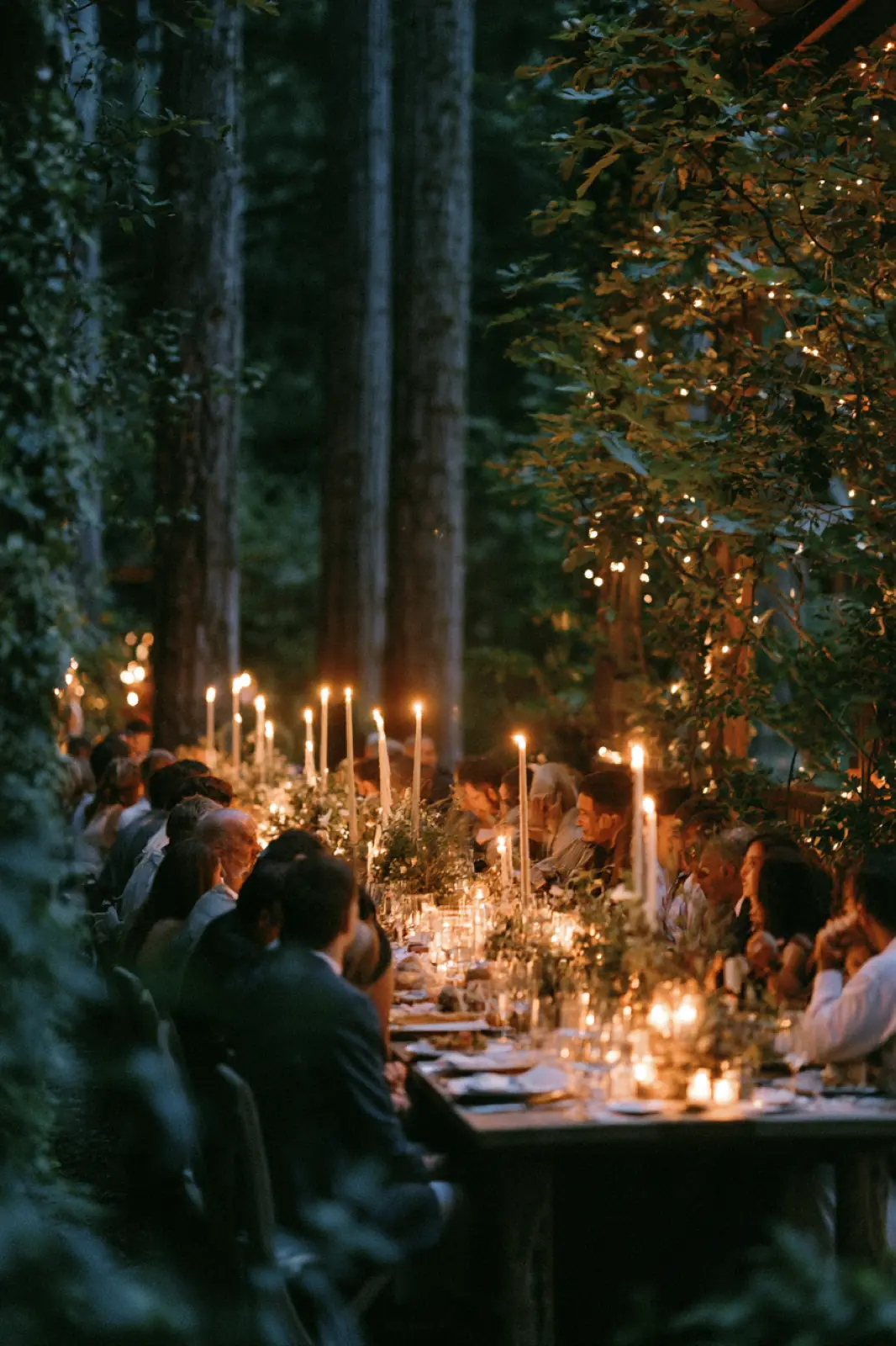 A long dinner table under the trees, lit by candles