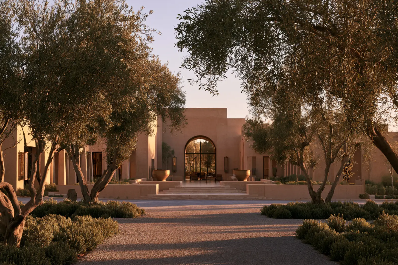 An olive courtyard in the last of the light