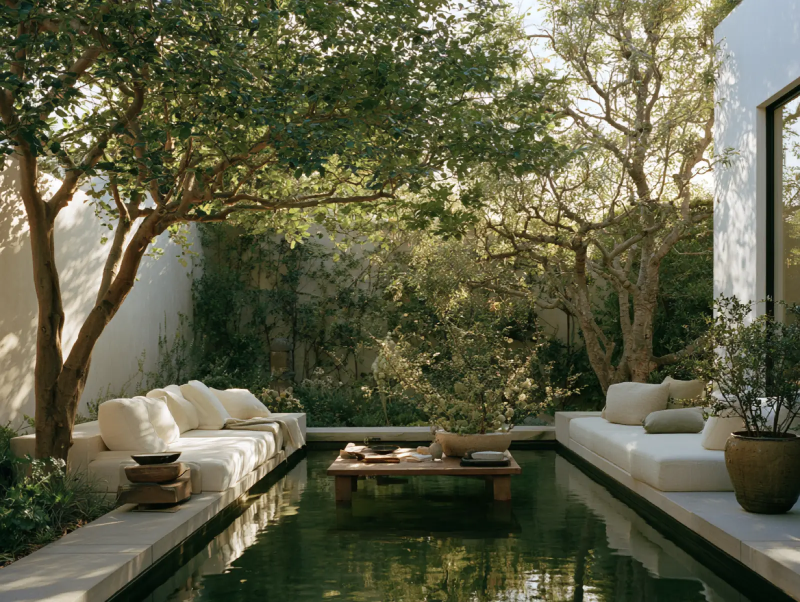 A garden pool between the trees
