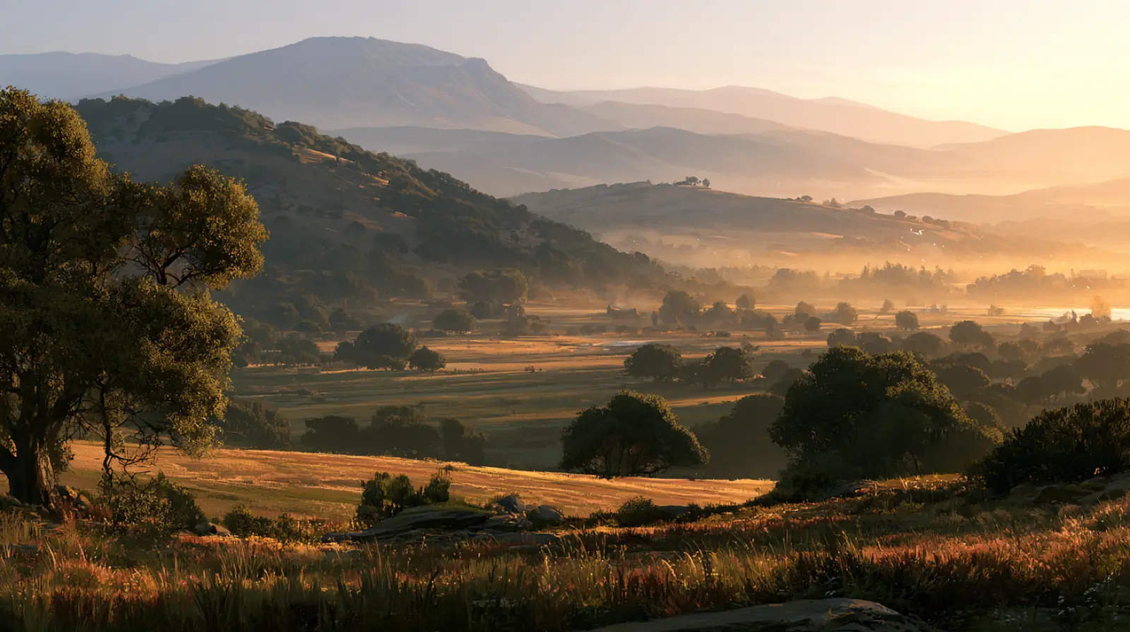 A valley at dusk, seen from the terrace